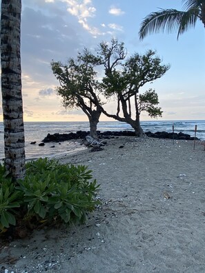 Sun-loungers, beach towels