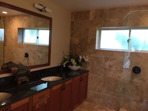 Hair dryer, towels, soap, toilet paper - RENOVATED PROPERTY!!  Book now! E101 (Waikoloa)