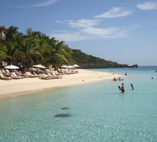 SPECTACULAR JUNGLE CANOPY TREE HOUSE WITH WATERFALL POOL & GYM!