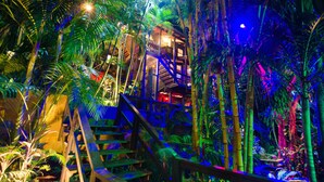 A multi-level indoor space with wooden staircases surrounded by lush greenery and bamboo.