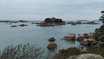 Vlak bij het strand, ligstoelen