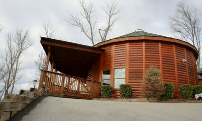  The Cozy Bearz Cabin,  A place to relax and have a Great time!