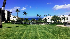Un hotel con vista al océano, palmeras y un césped bien cuidado.