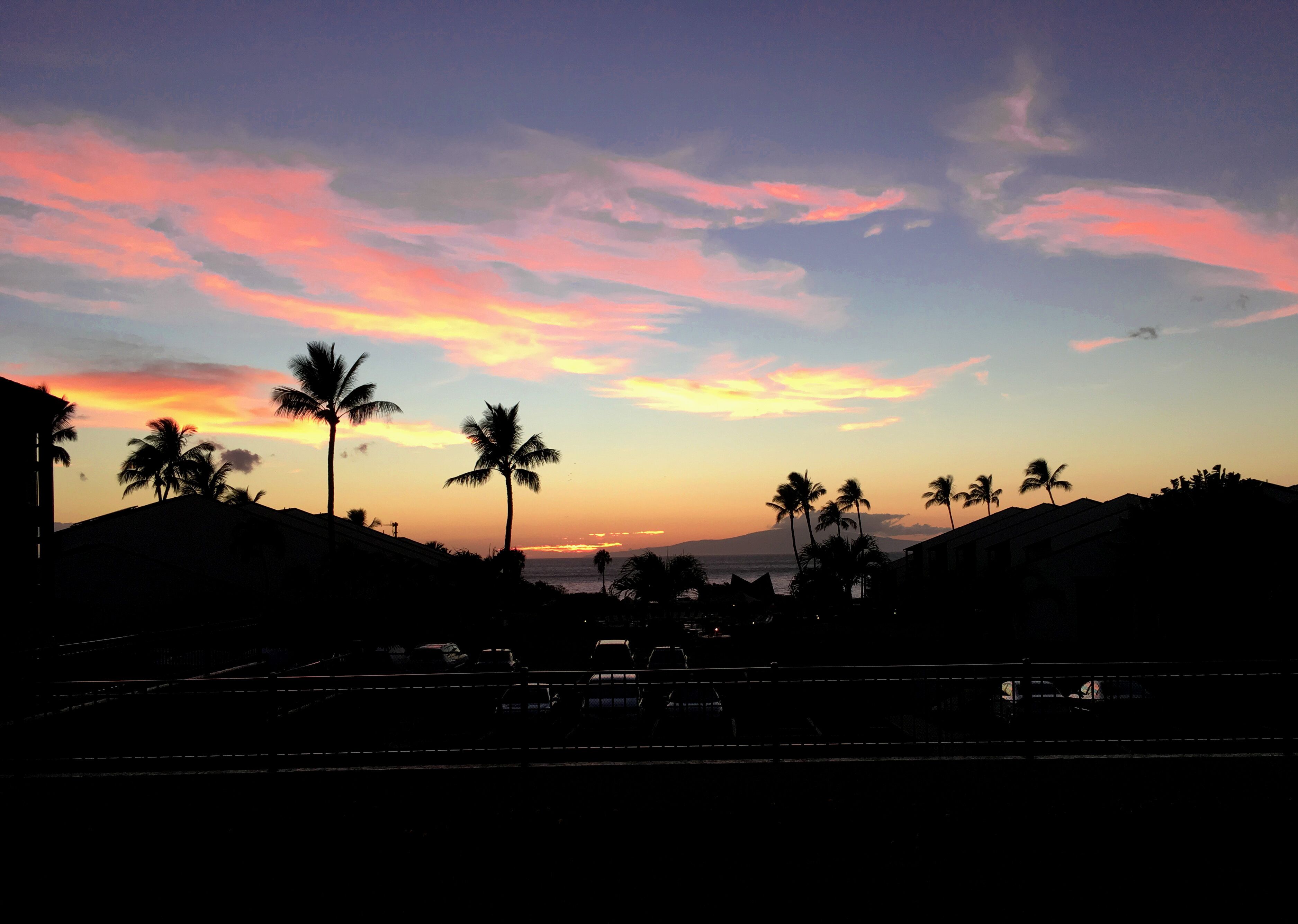 A sunset view with palm trees silhouetted against the sky.