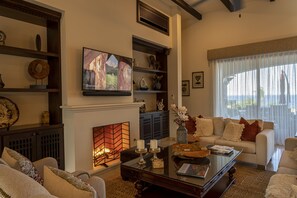 Smart TV, fireplace, books, music library