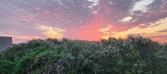 Cozy Cottage in Kitty Hawk with Gorgeous Ocean Views!