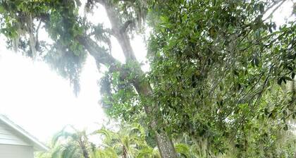 High Hedges Cottage - lähellä keskustaa Mt Dora