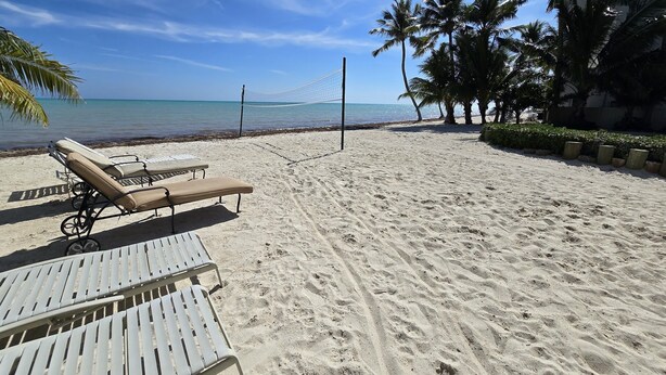 Une plage avec des chaises longues et un filet de volley-ball, des palmiers et un ciel dégagé.