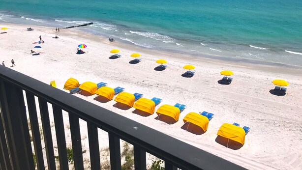 A beach with rows of yellow umbrellas and blue lounge chairs.