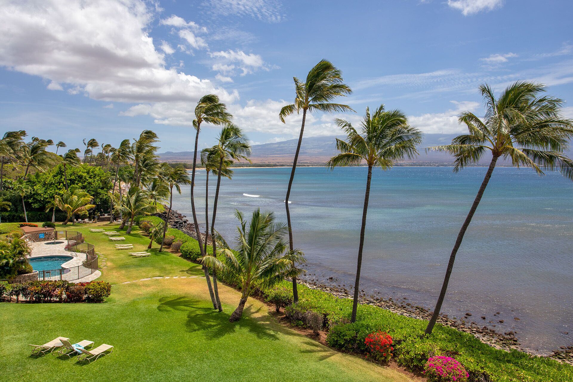 A tropical resort with a swimming pool, lounge chairs, and palm trees overlooking the ocean.