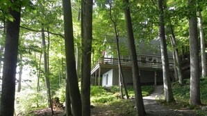 A cabin with a wooden deck and a dirt path leading to it, surrounded by tall trees and dense foliage.