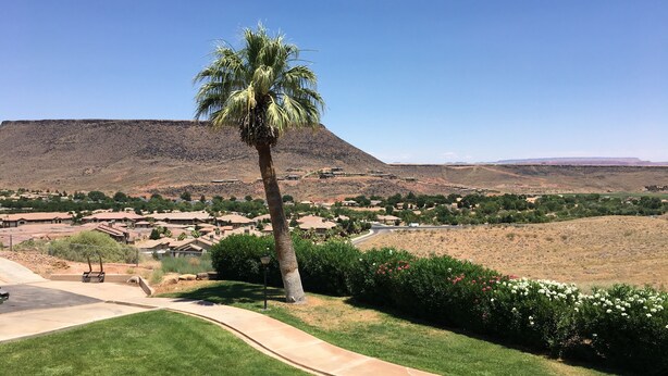 A residential area with a palm tree, a well-maintained lawn, and a road leading to a hilly landscape in the background. - Las Palmas! Beds for 9-10! 3Bed 2Bath, Bunks for kids! Huge deck! (St George)