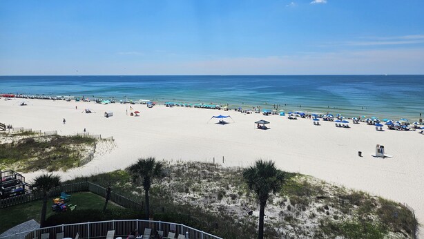 A beach with white sand, clear blue water, and a few palm trees. - Beautiful Ocean Front Condo in Orange Beach....Affordable Prices (Orange Beach)