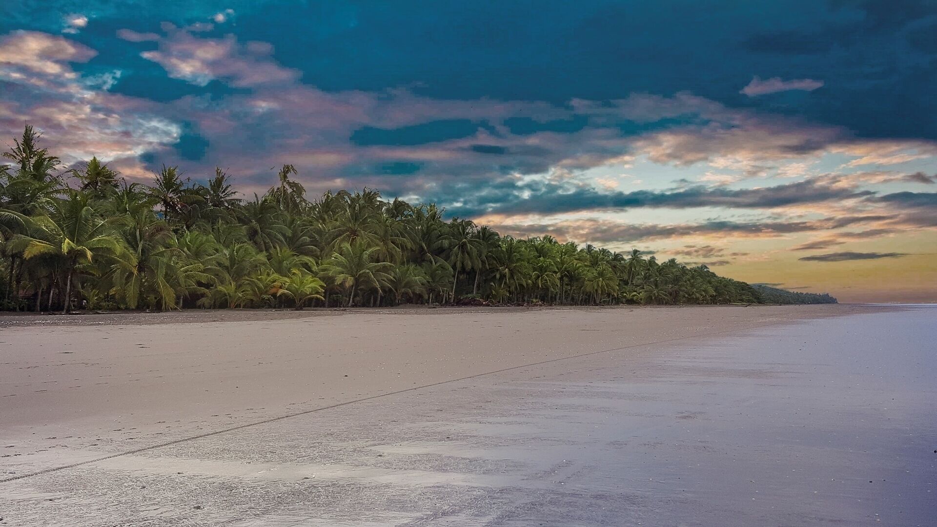 Chaises longues, serviettes de plage