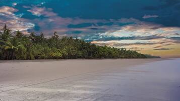 Chaises longues, serviettes de plage