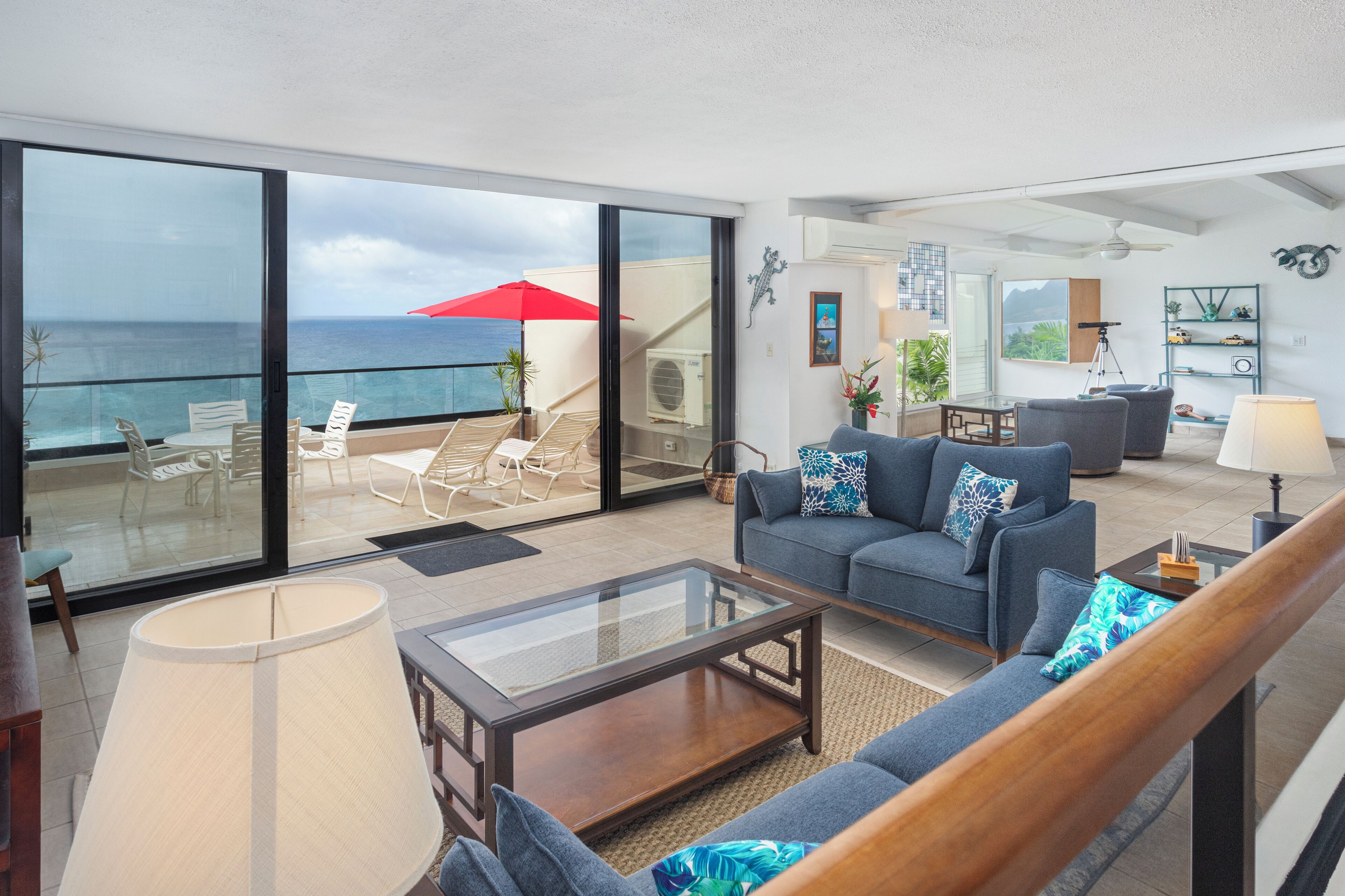  智能电视、DVD 播放器、书、音乐库