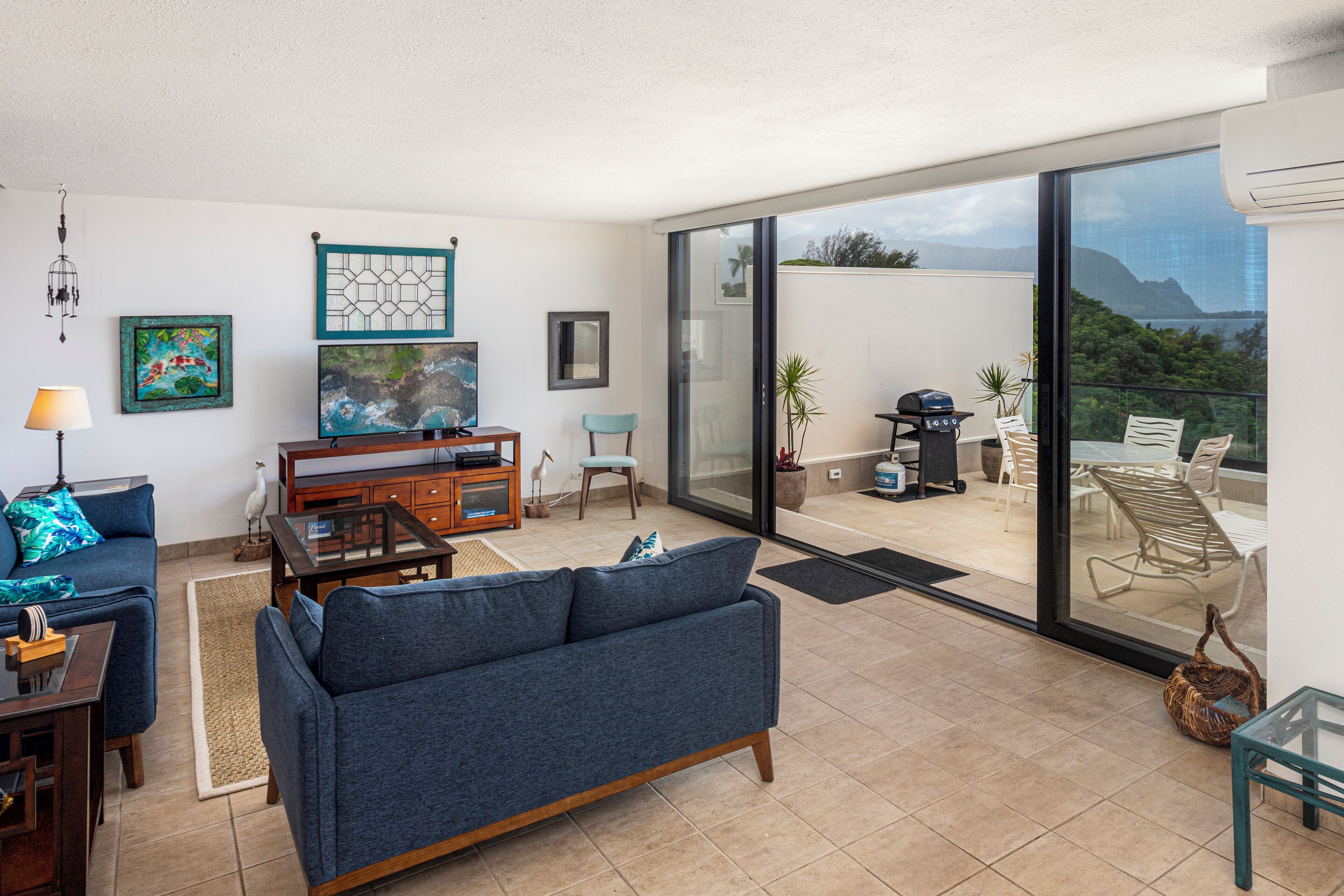 Smart TV, DVD player, books, music library