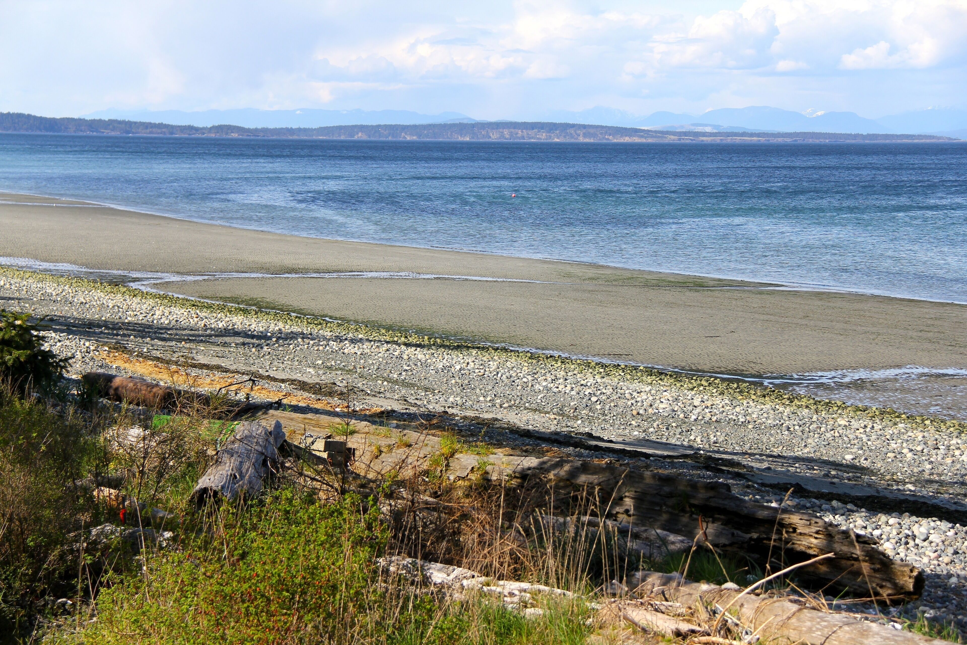 Plage, chaises longues
