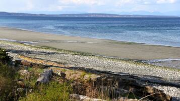 Plage, chaises longues