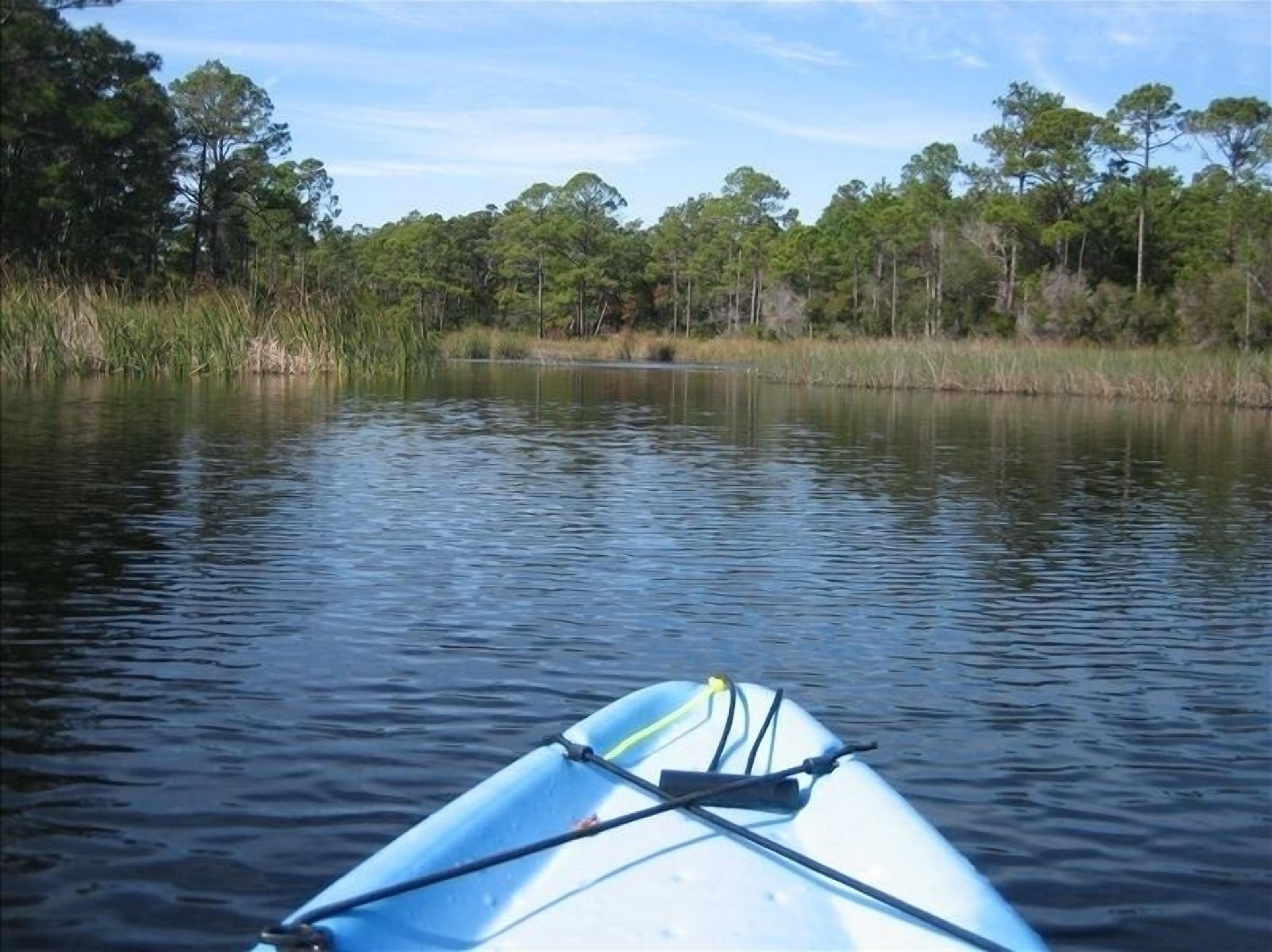 A calm body of water with a kayak in the foreground and a forested shoreline in the background.