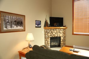 Télévision à écran plat, cheminée, lecteur de DVD, chaîne hi-fi