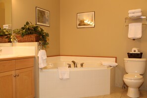 Combined shower/tub, hair dryer, towels, toilet paper