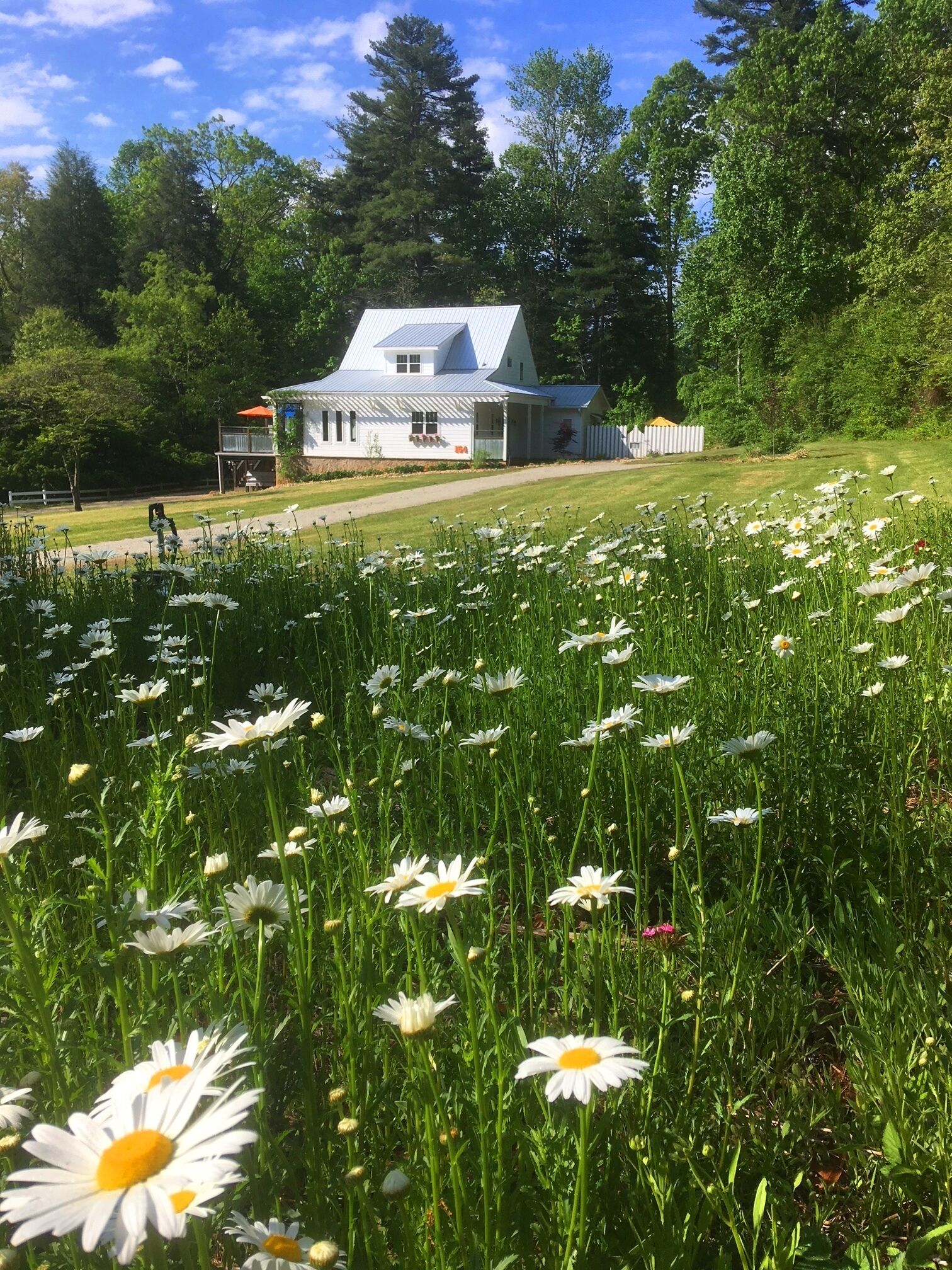 Featherstone FARMHOUSE 2 or 3 Bedrooms- Perfect for Groups- 2.5 mi. Hville