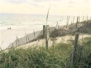 Ein Strand mit Holzzaun und hohem Gras im Vordergrund.