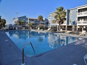 Relax by the hotel's inviting pool surrounded by lounge chairs and palm trees.