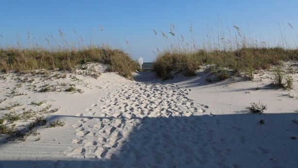 Un sendero arenoso que lleva a una playa, con pastos altos a ambos lados.