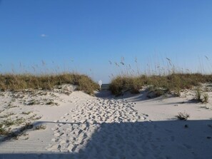 A sandy pathway leading to a beach with tall grasses on either side. - Renovated Bathrooms! Boat Friendly, Soak Up the Sun on the porch swing | Sea Oats H102 (Gulf Shores)