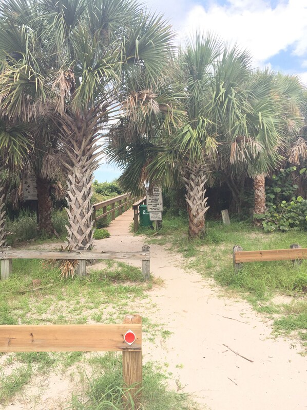 Property grounds - BIG BEAUTIFUL BEACH HOUSE- STEPS TO THE SAND- (Cocoa Beach)