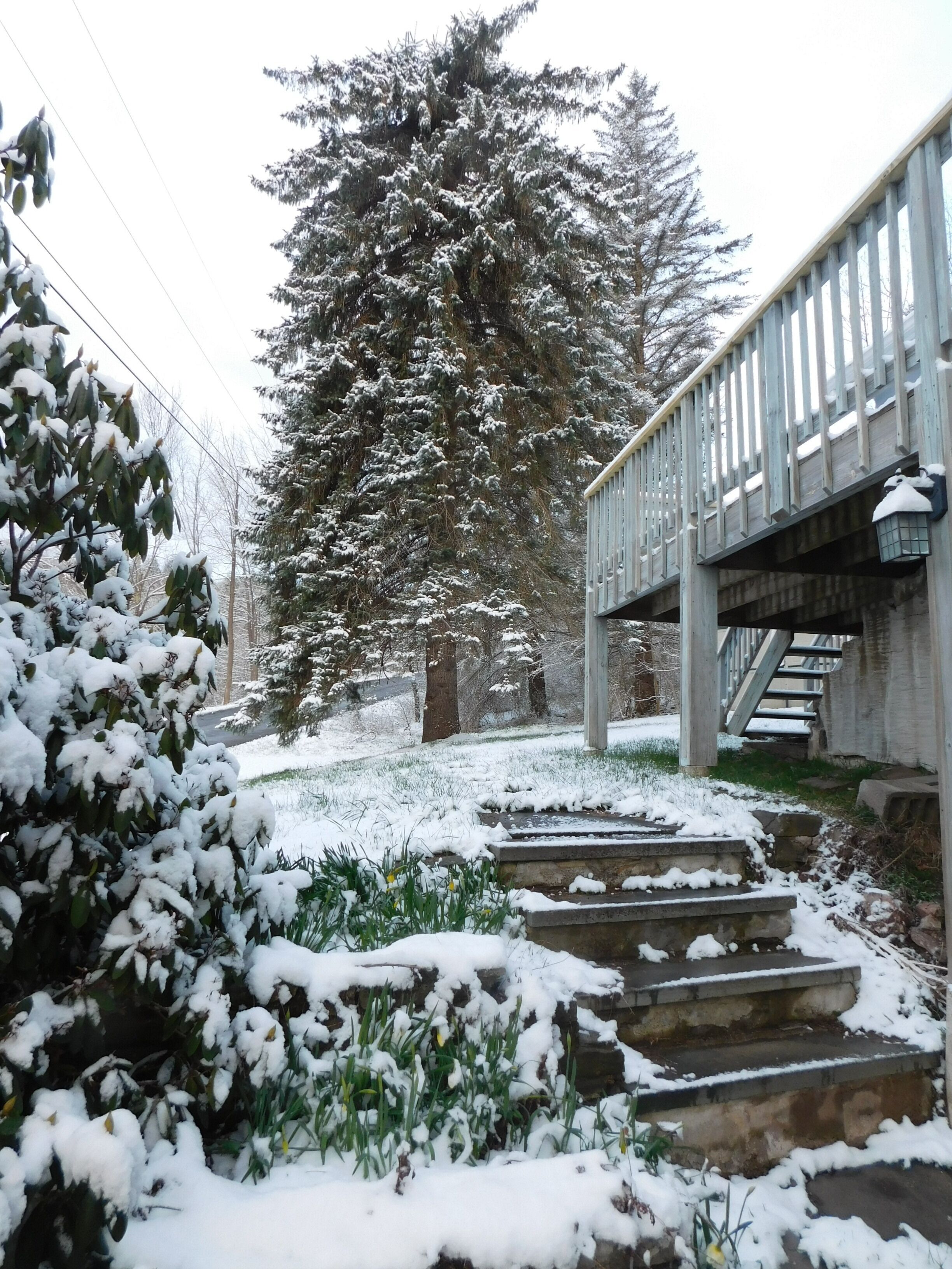 Àrea exterior de l'allotjament