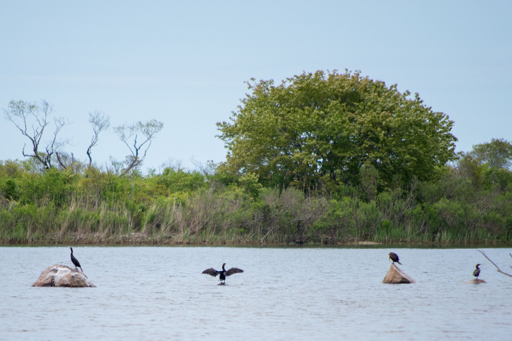 10 Best Vacation Rentals In Charlestown, Rhode Island Updated 2024