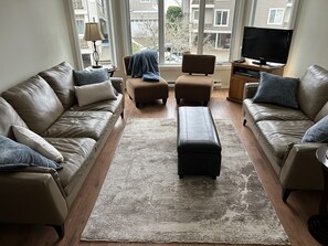 Smart TV, lareira, livros