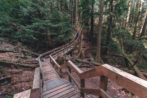 Property grounds - ***Panoramic Water View*** Deep Cove Luxury living (North Vancouver)
