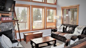 Télévision, cheminée, jeux vidéo, lecteur de DVD