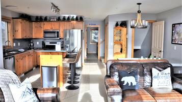 Télévision, cheminée, jeux vidéo, lecteur de DVD