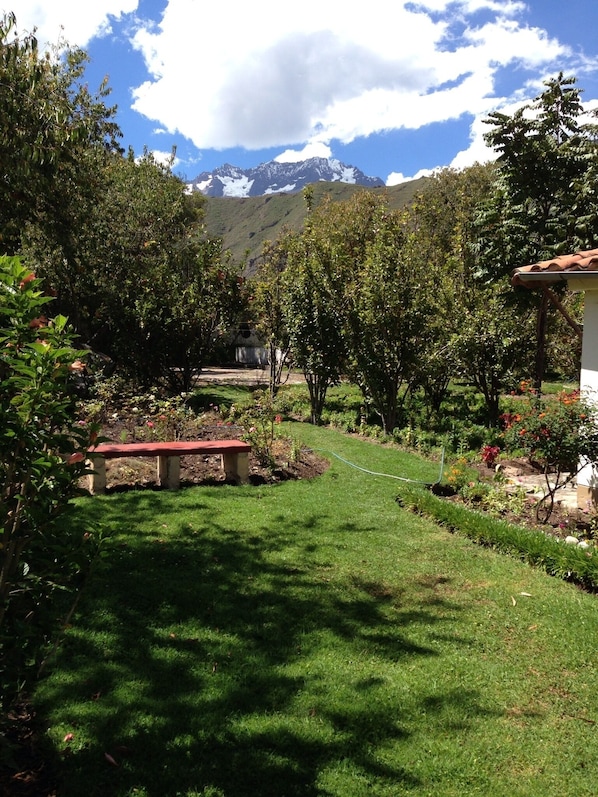 Área da propriedade