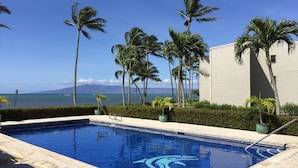 A swimming pool with a dolphin logo, surrounded by palm trees and a view of the ocean.