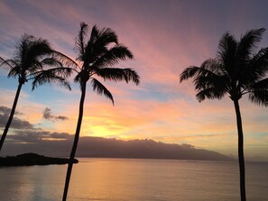 Una vista al atardecer con palmeras recortadas contra un cielo colorido.