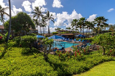1 Bedroom Ocean View Condo F308 - Pono Kai