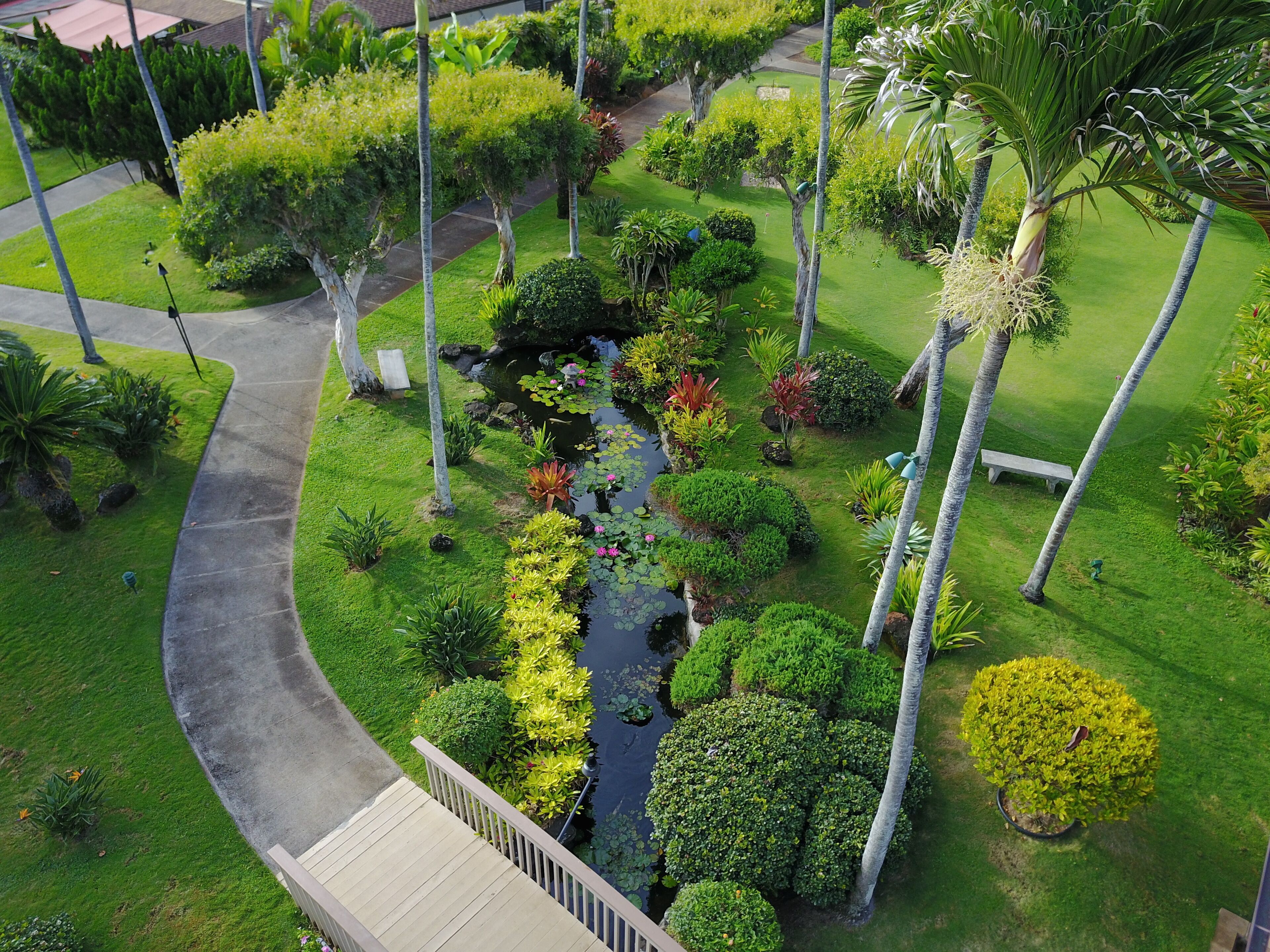 Un jardín ajardinado con un sendero curvo, un pequeño elemento acuático y diversa vegetación.