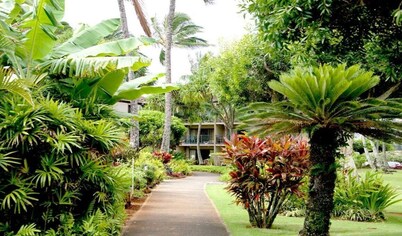 1 Bedroom Ocean View Condo F308 - Pono Kai