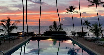 Oceanfront Sea Turtle Paradise Newly Remodeled 7.5M Maui Gem Near Kaanapali