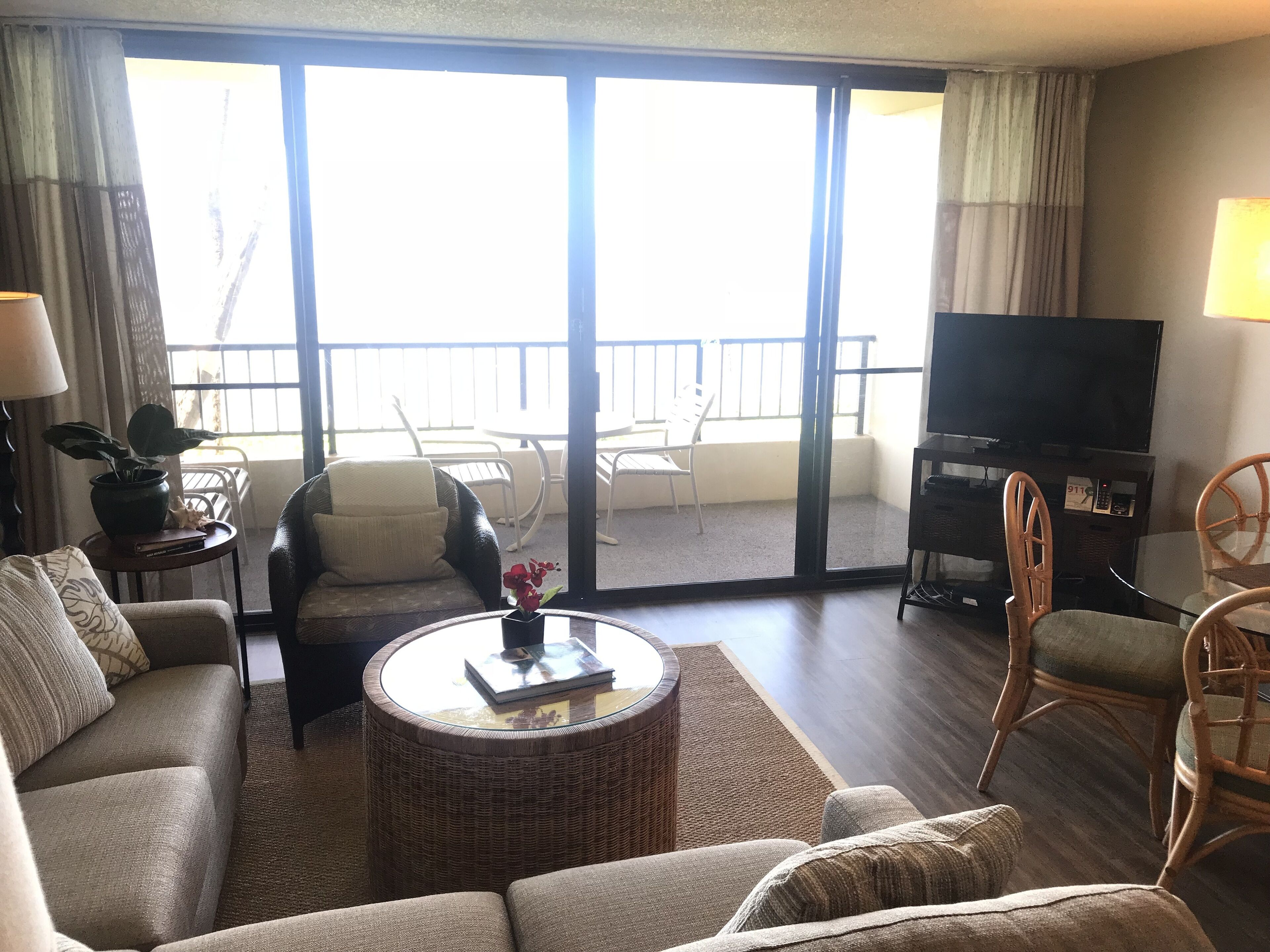 Smart TV, DVD player, books, video library