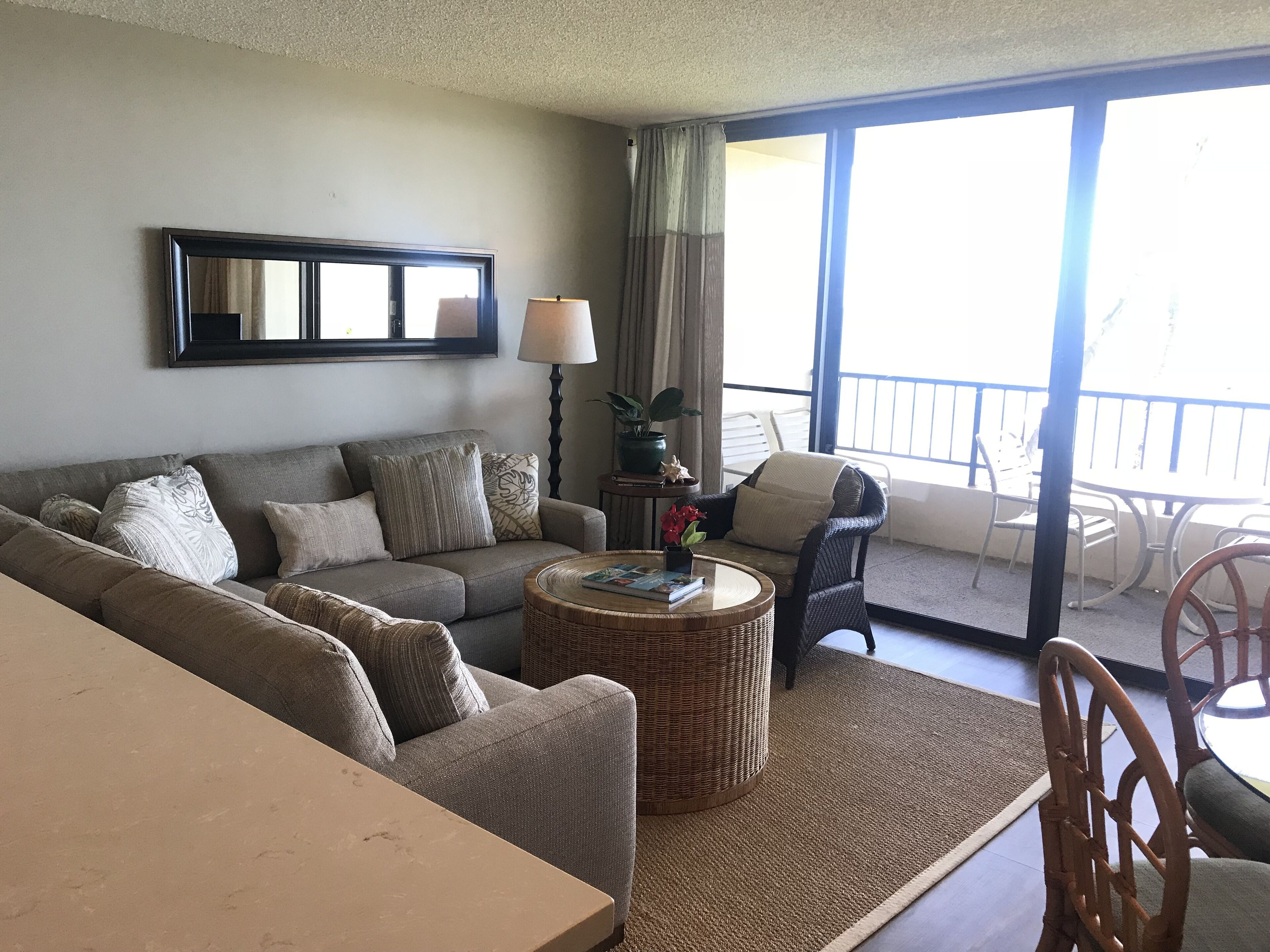 Smart TV, DVD player, books, video library