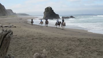 LiegestĂŒhle, StrandtĂŒcher