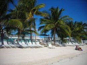 Toallas de playa