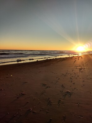 Nær stranden og solsenger